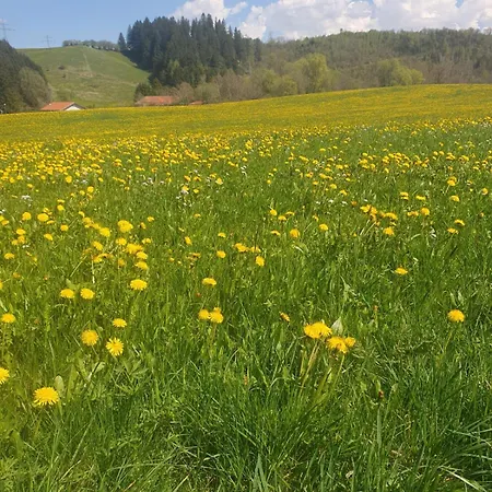 Waldhorn Hotel Jungholz