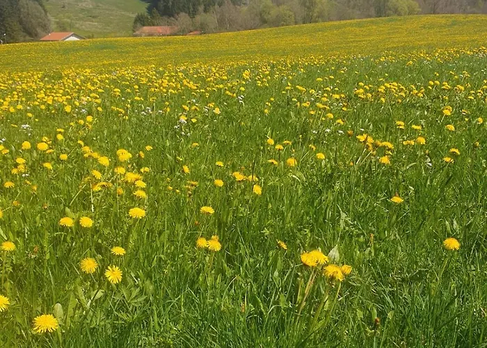 Waldhorn Отель Юнгхольц