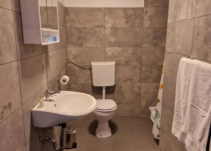 Waldhorn 酒店 容霍尔茨